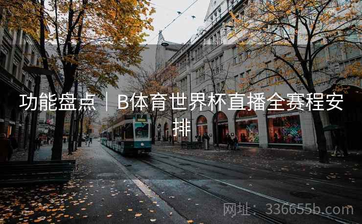 功能盘点｜B体育世界杯直播全赛程安排
